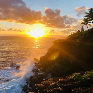 Wild Blue Water , Pahoa USA